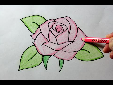 DRAWING A ROSE