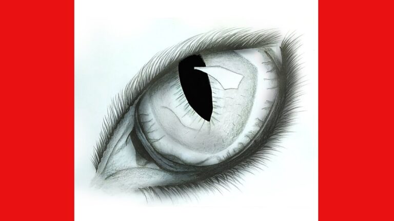 Easy way to draw a cat eye for Beginners ,step by step ,Pencil Sketch ,How to draw a cat eye