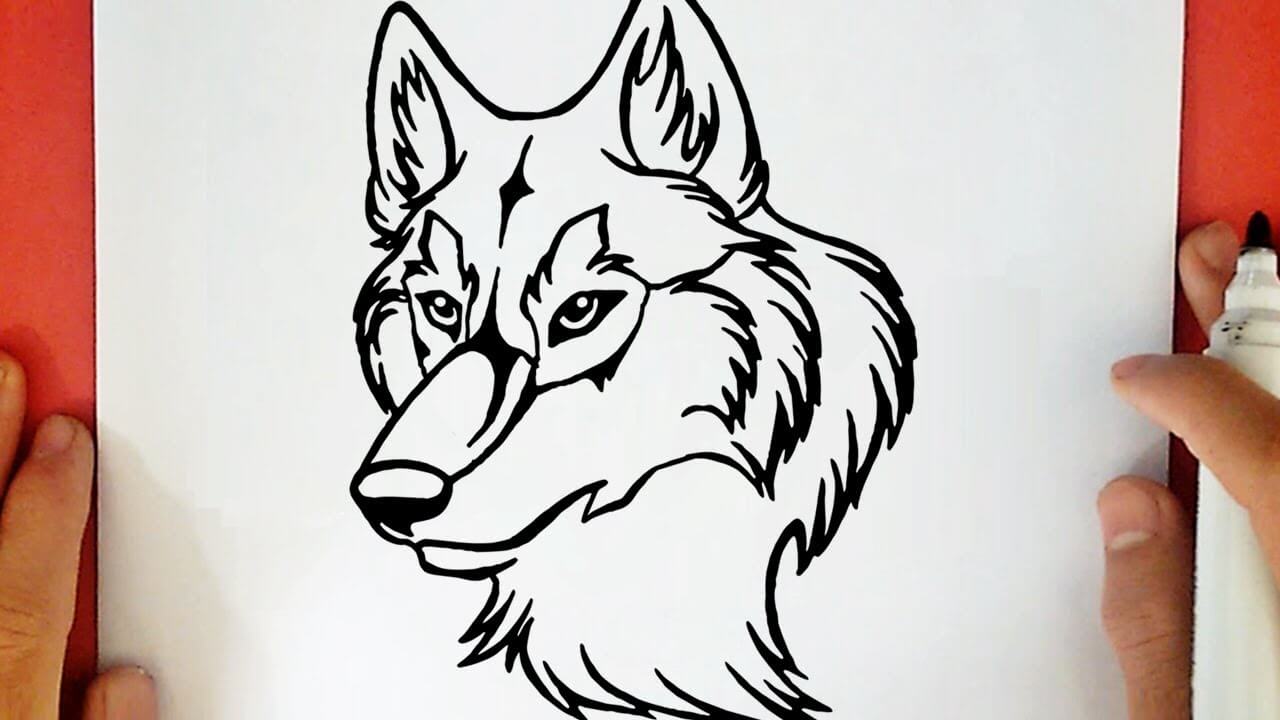 HOW TO DRAW A WOLF