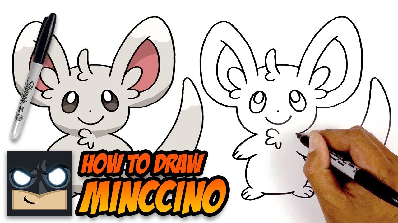 How to Draw Pokemon Minccino Step by Step Tutorial