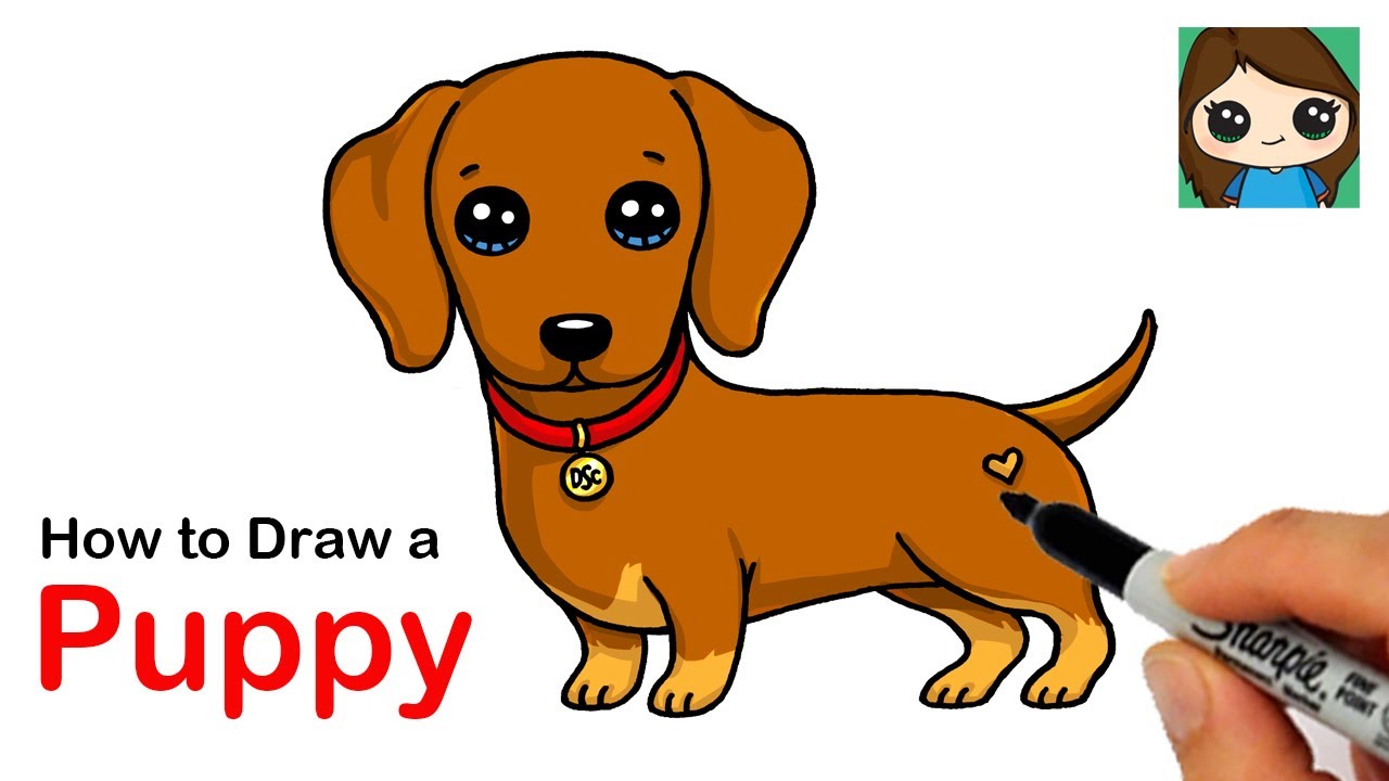 How to Draw a Dachshund Puppy Dog Easy