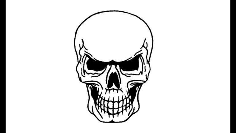 How to Draw a Skull skeleton