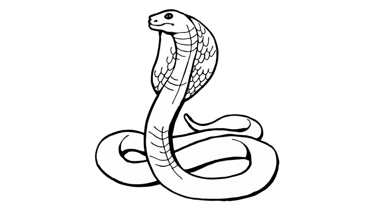 How to Draw a Snake cobra naja animals