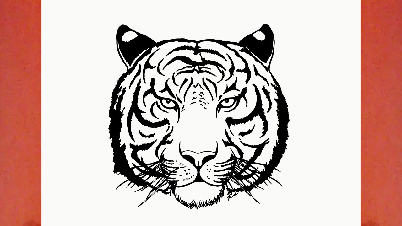 How to Draw a Tiger animals