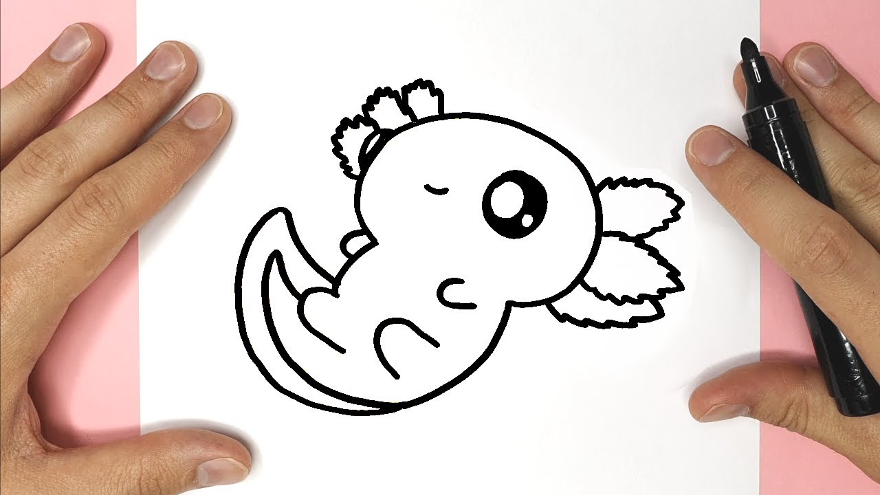 How to Draw a cute baby salamander Happy Drawings