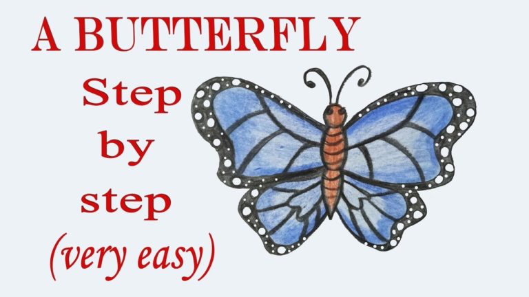 How to draw a Butterfly step by step very easy