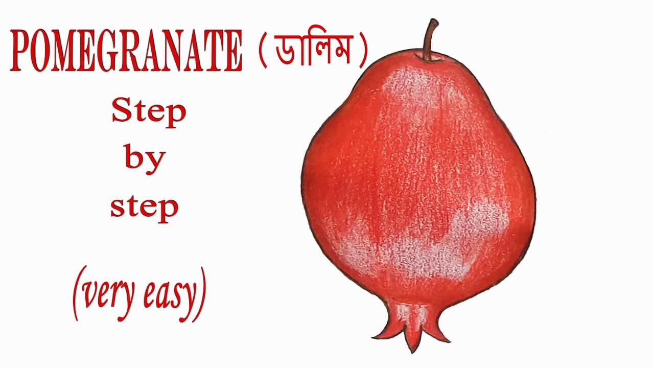 How to draw a Pomegranate step by step very easy
