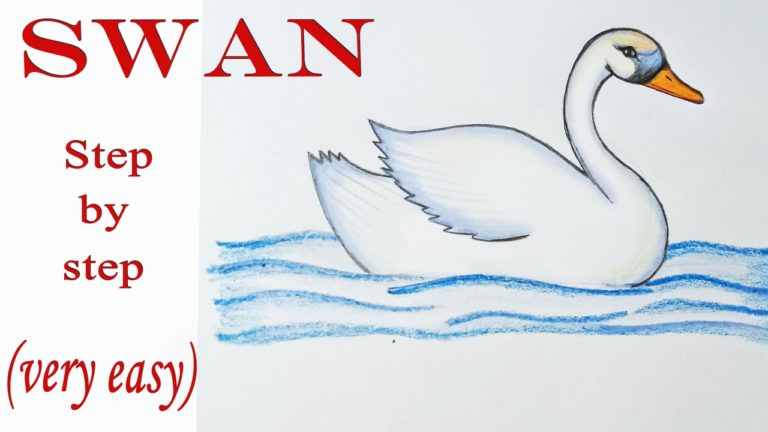 How to draw a Swan step by step very easy