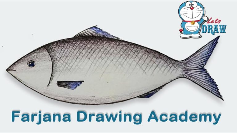 How to draw a fish step by step very easy