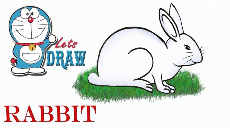 How to draw a rabbit step by step very easy