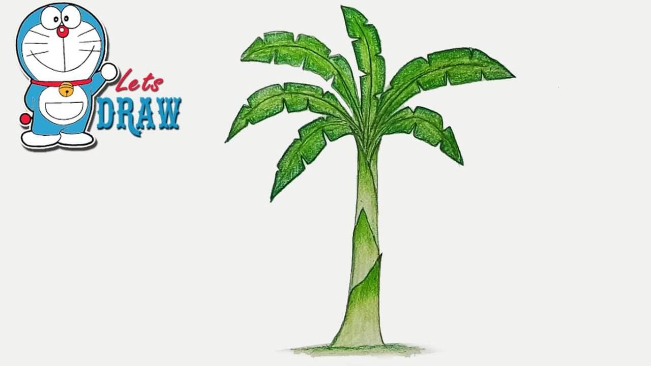 How to draw banana tree step by step very easy