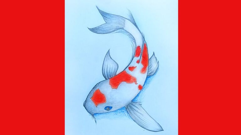 How to drawing a koi carp beginners , Pencil sketch , Art video , Drawing a koi carp 1